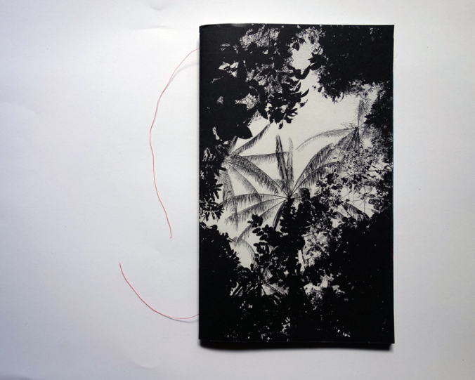 http://www.editionsinfinies.com/files/gimgs/th-173_DSC07849.jpg