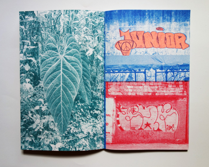 http://www.editionsinfinies.com/files/gimgs/th-173_DSC07851.jpg