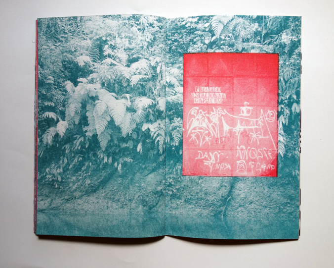 http://www.editionsinfinies.com/files/gimgs/th-173_DSC07854.jpg