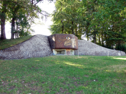 http://www.editionsinfinies.com/files/gimgs/th-122_11_v2.jpg