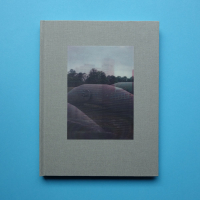http://www.editionsinfinies.com/files/gimgs/th-179_risse-photobook-froede-01.jpg