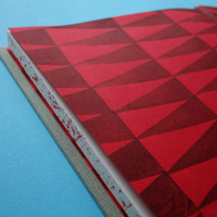 http://www.editionsinfinies.com/files/gimgs/th-179_risse-photobook-froede-01c.jpg