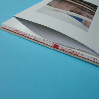 http://www.editionsinfinies.com/files/gimgs/th-179_risse-photobook-froede-14b.jpg